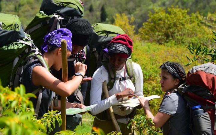 Four students wearing backpacks examine a map while standing amongst thick greenery.